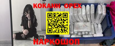 прущие грибы Моздок
