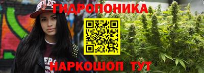 таблы Можга