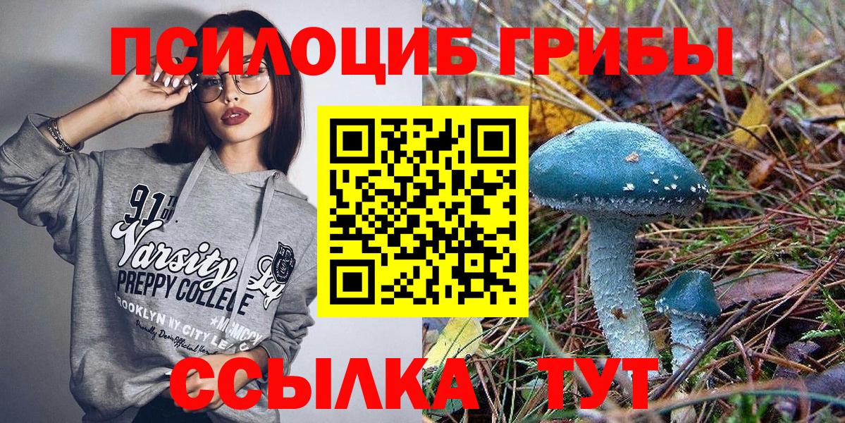 как найти закладки  Вход с VPN  Галлюциногенные грибы Cubensis  Серпухов  Псилоцибиновые грибы мицелий 