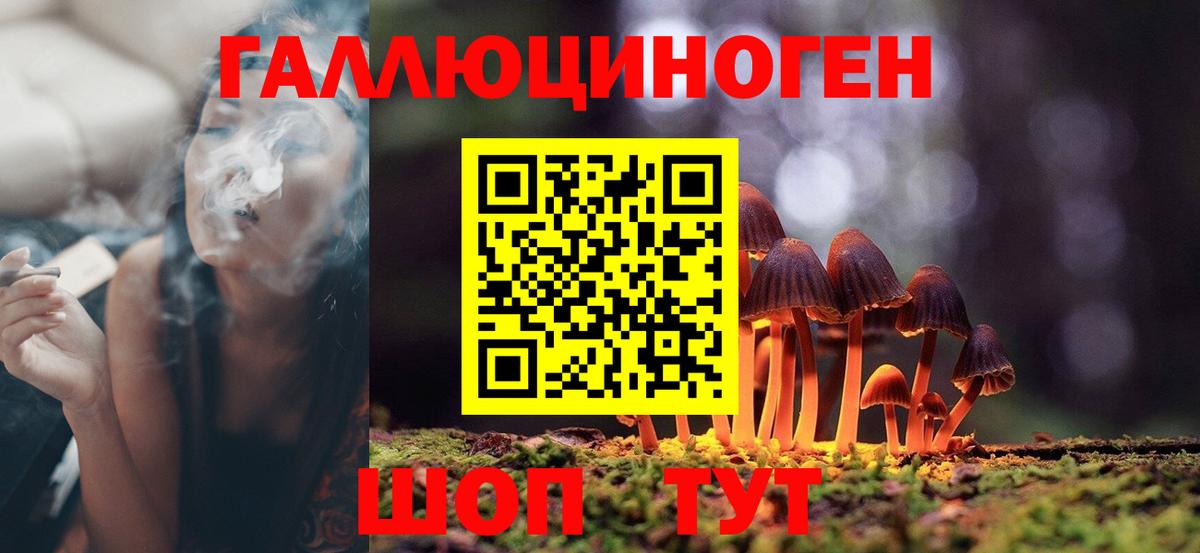 Псилоцибиновые грибы Cubensis Серпухов
